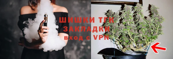 тгк Алексин