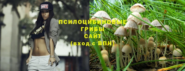 тгк Алексин